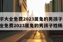 取名字大全免费2023属兔的男孩子-取名字大全免费2023属兔的男孩子姓杨