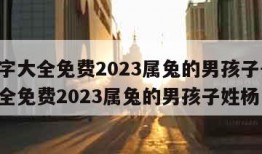 取名字大全免费2023属兔的男孩子-取名字大全免费2023属兔的男孩子姓杨