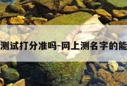 姓名测试打分准吗-网上测名字的能信吗