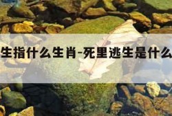 死里逃生指什么生肖-死里逃生是什么生肖动物