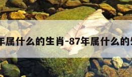 83年属什么的生肖-87年属什么的生肖