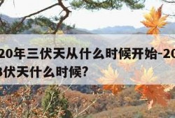 2020年三伏天从什么时候开始-2020年3伏天什么时候?