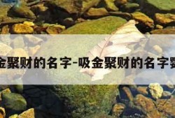 吸金聚财的名字-吸金聚财的名字鹦鹉