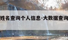 手机号姓名查询个人信息-大数据查询个人信息