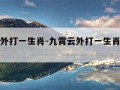 九霄云外打一生肖-九霄云外打一生肖是什么数字