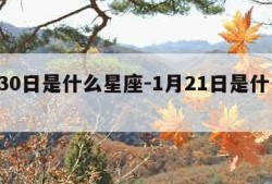 1月30日是什么星座-1月21日是什么星座