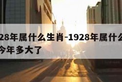 1928年属什么生肖-1928年属什么生肖今年多大了